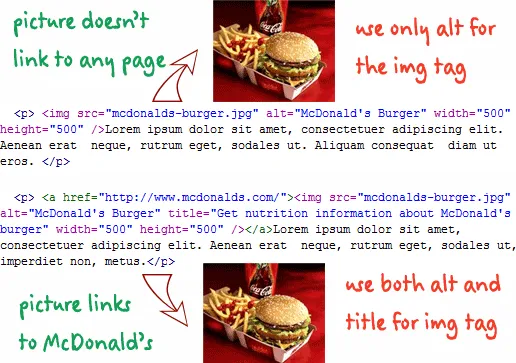 ALT or TITLE for Images ALT or TITLE for Images