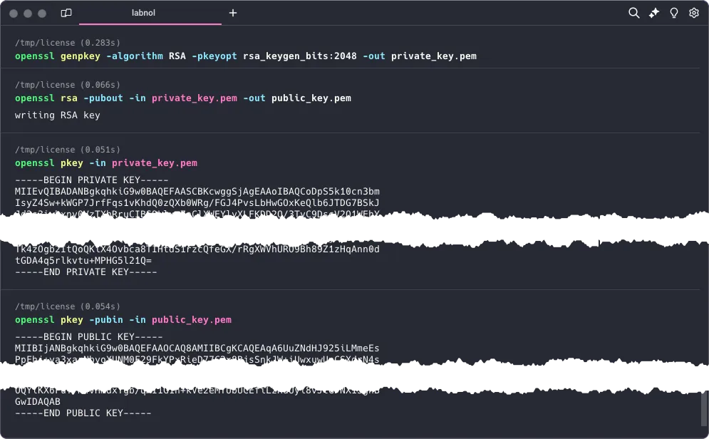 RSA Private and Public Keys