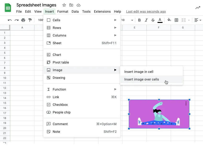 Insert Image Over Cells