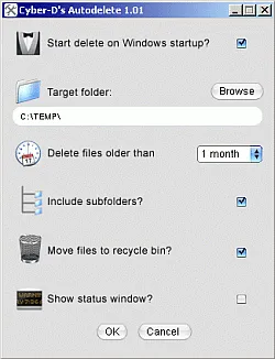 auto delete files