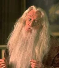 Dumbledore from Harry Potter