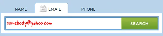 Reverse Email Search