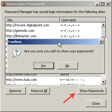 firefox passwords