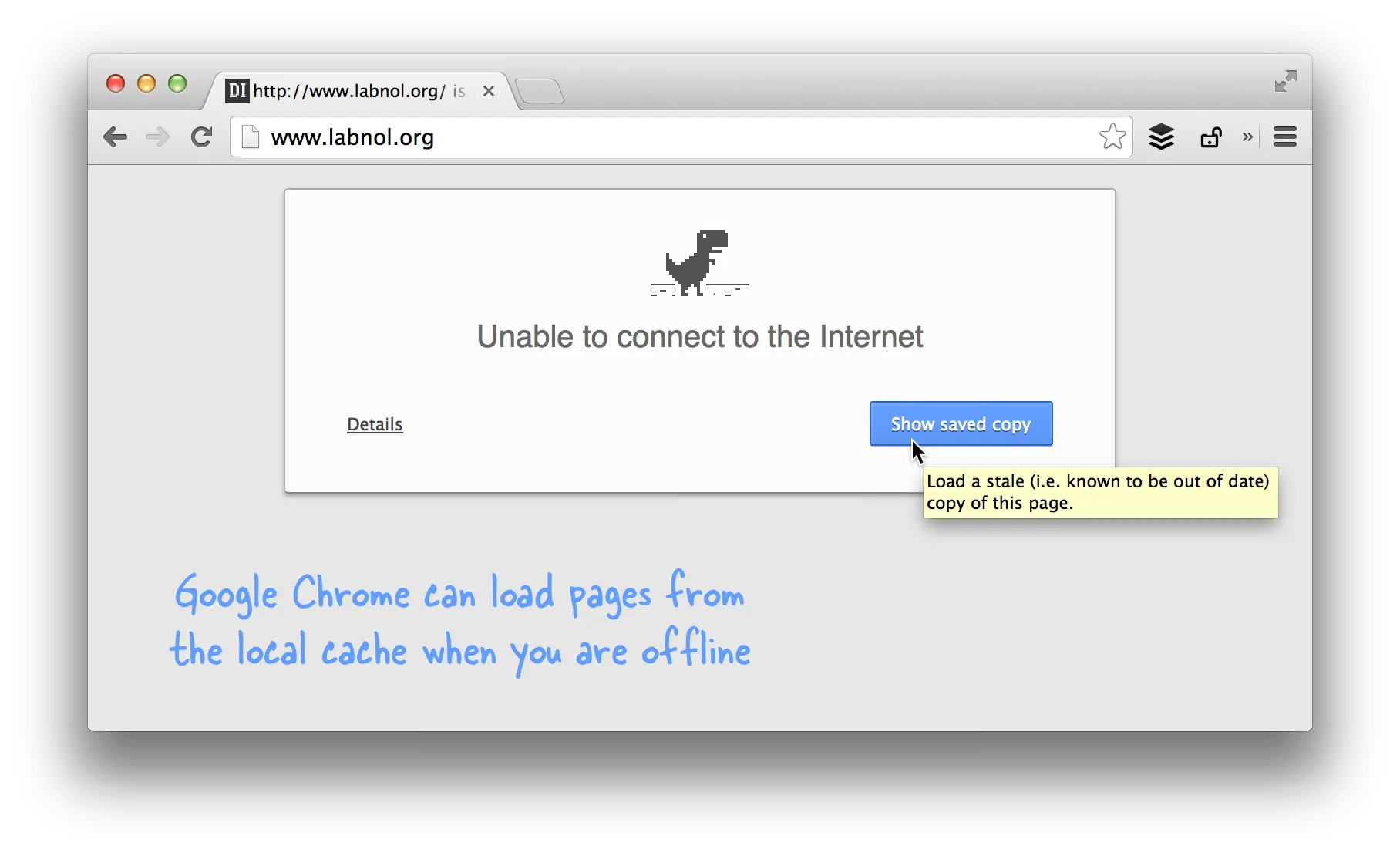 Google Chrome Offline Browsing