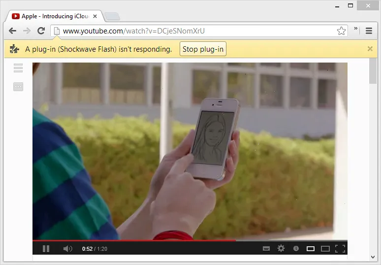 Shockwave Flash in Google Chrome