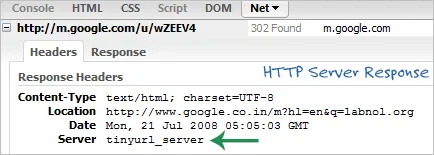 google-server-response