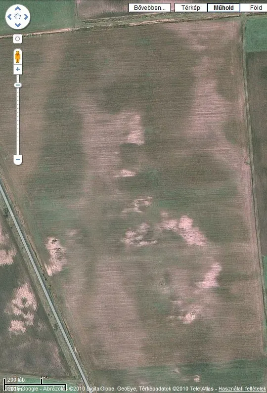 Jesus Image on Google Maps