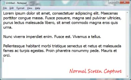 Normal Screen Capture