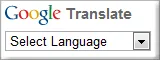 google translate gadget