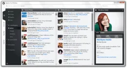 View Twitter Profiles with Seesmic