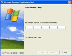 windows xp product key