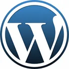 wordpress in china