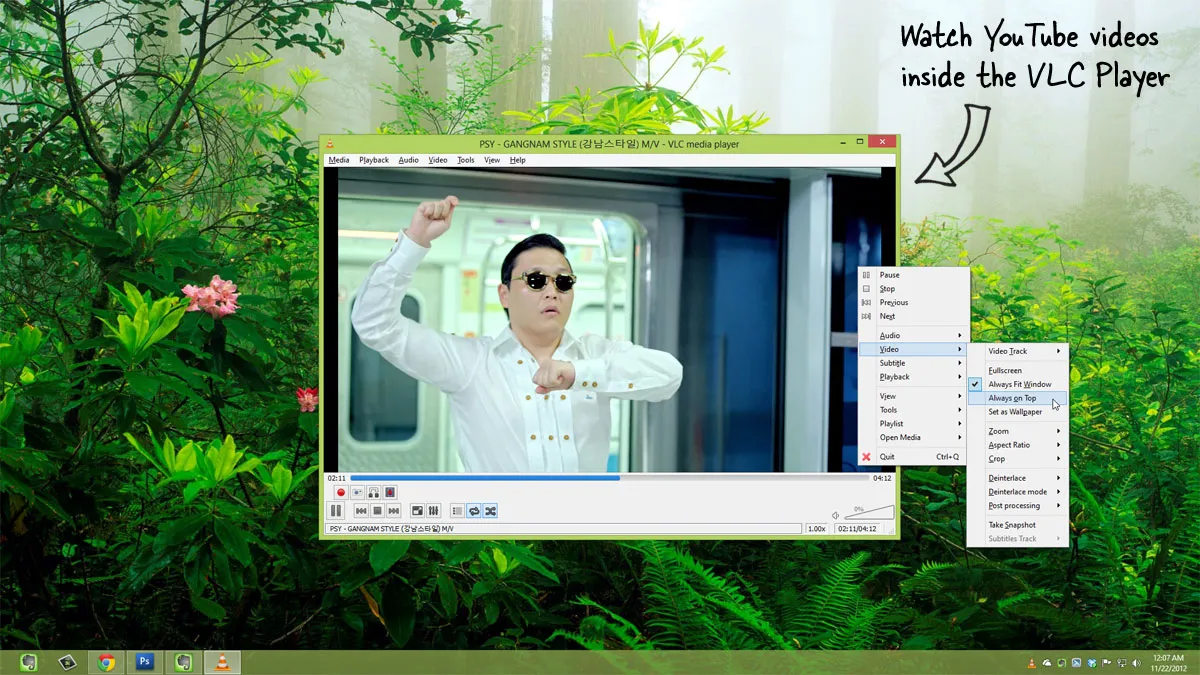 YouTube in VLC Media Player