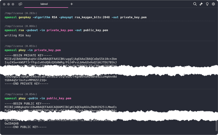 RSA Private and Public Keys